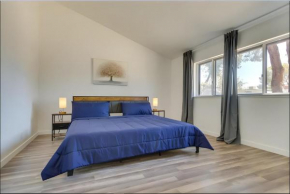 Modern 4-BR near China Lake